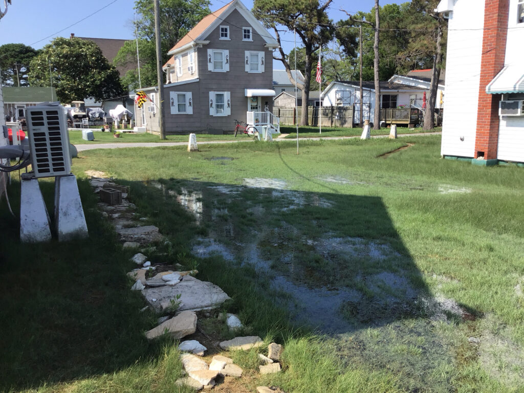 a small pond in a neighborhood (MyCoast AI)