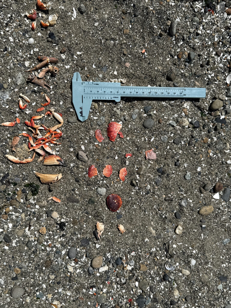 a blue metal object on a rocky surface (MyCoast AI)