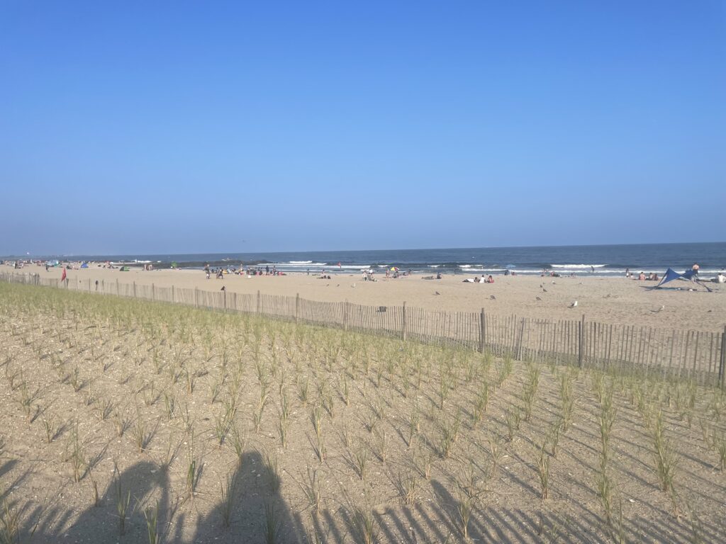 a beach with a fence and people (MyCoast AI)