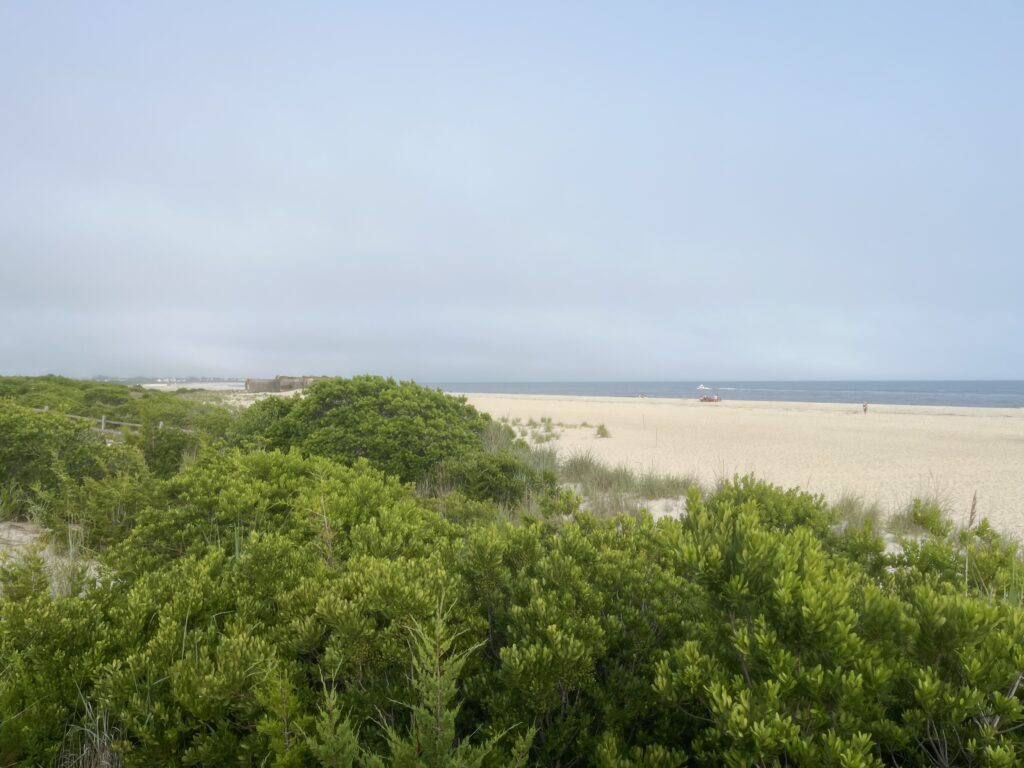 a sandy beach with trees (MyCoast AI)