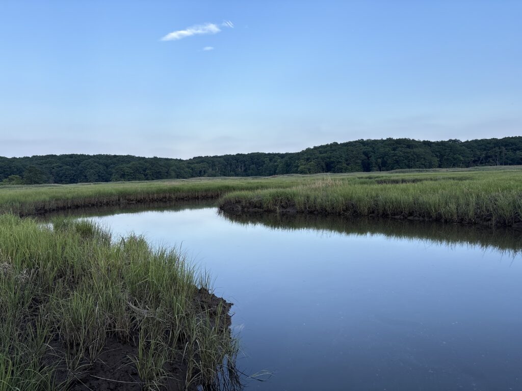 a body of water with grass and trees around it (MyCoast AI)