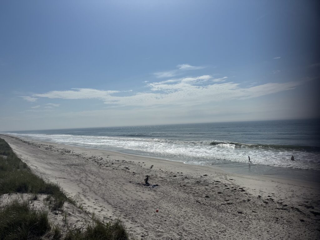 people on a beach (MyCoast AI)