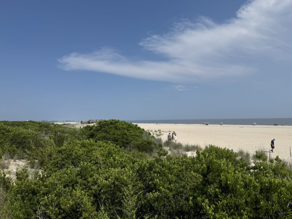 a group of people walking on a beach (MyCoast AI)