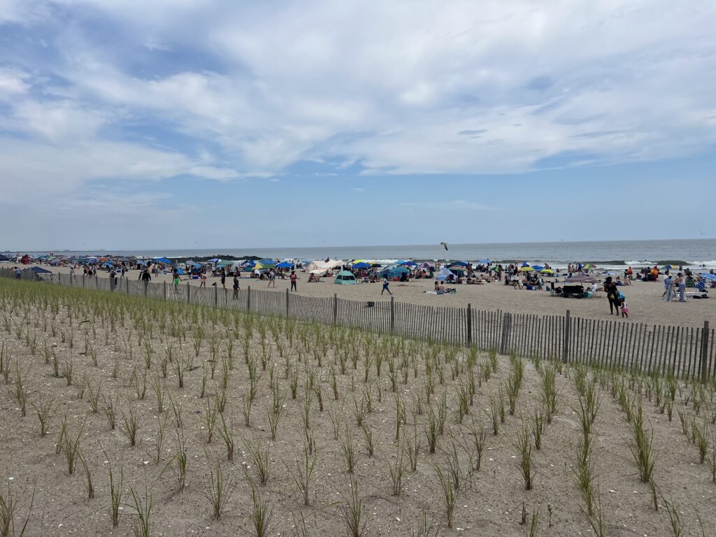 a beach with people and cars (MyCoast AI)