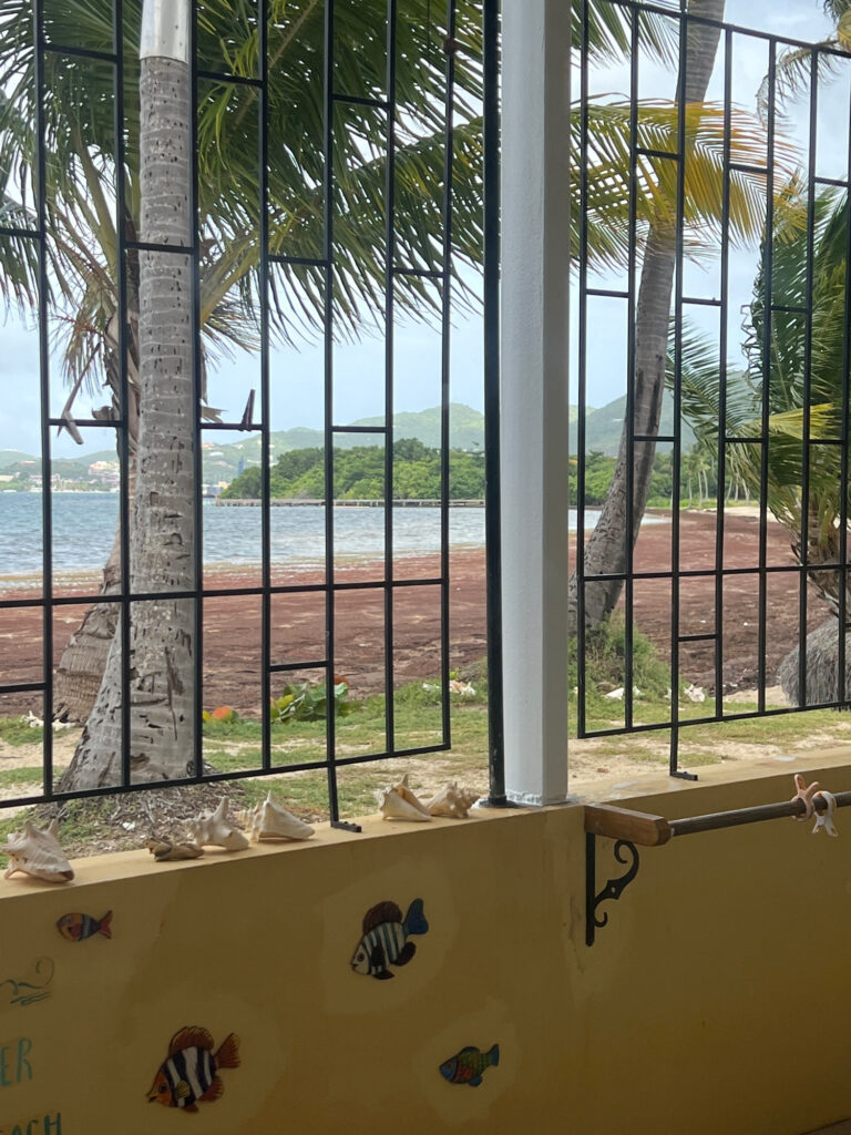 a yellow box with a view of a beach and trees (MyCoast AI)