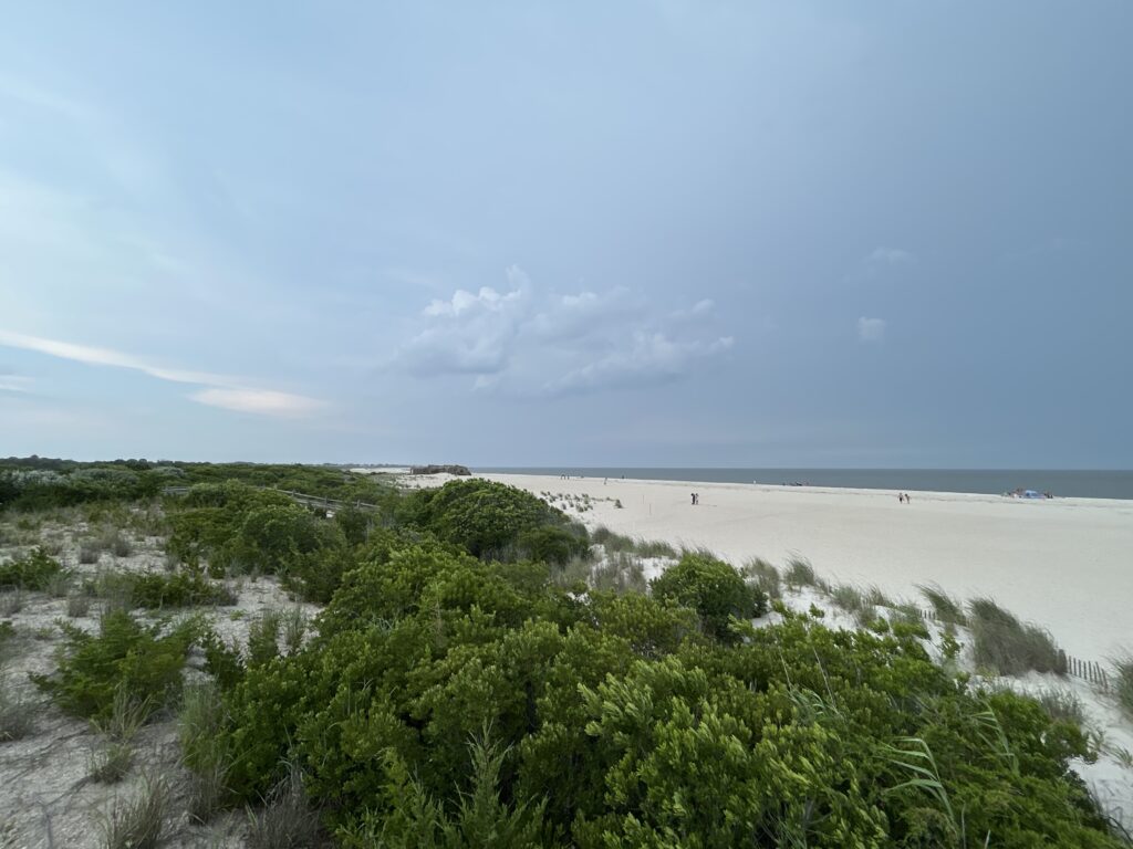 a beach with bushes and trees (MyCoast AI)