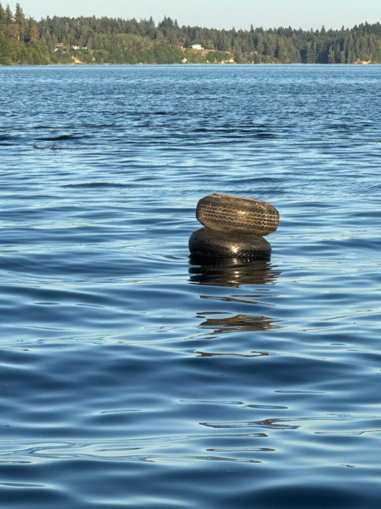 a rock in the middle of a body of water (MyCoast AI)