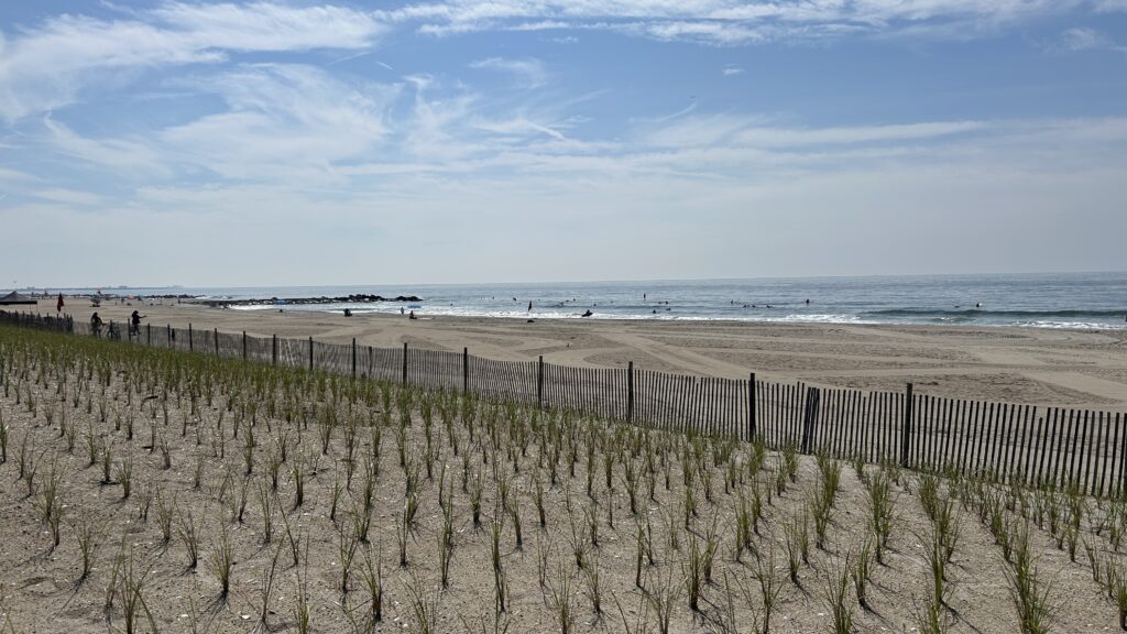 a beach with a fence (MyCoast AI)