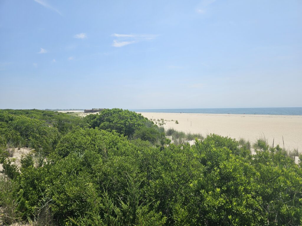 a beach with trees and bushes (MyCoast AI)