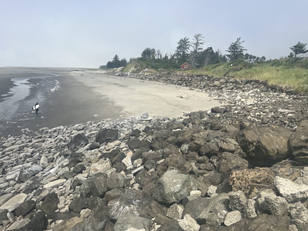 a rocky beach with a person in the water (MyCoast AI)