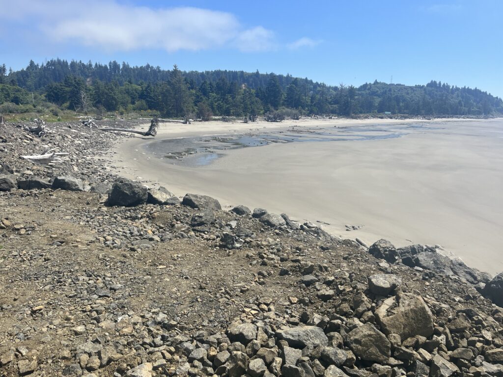 a rocky beach with trees in the background (MyCoast AI)