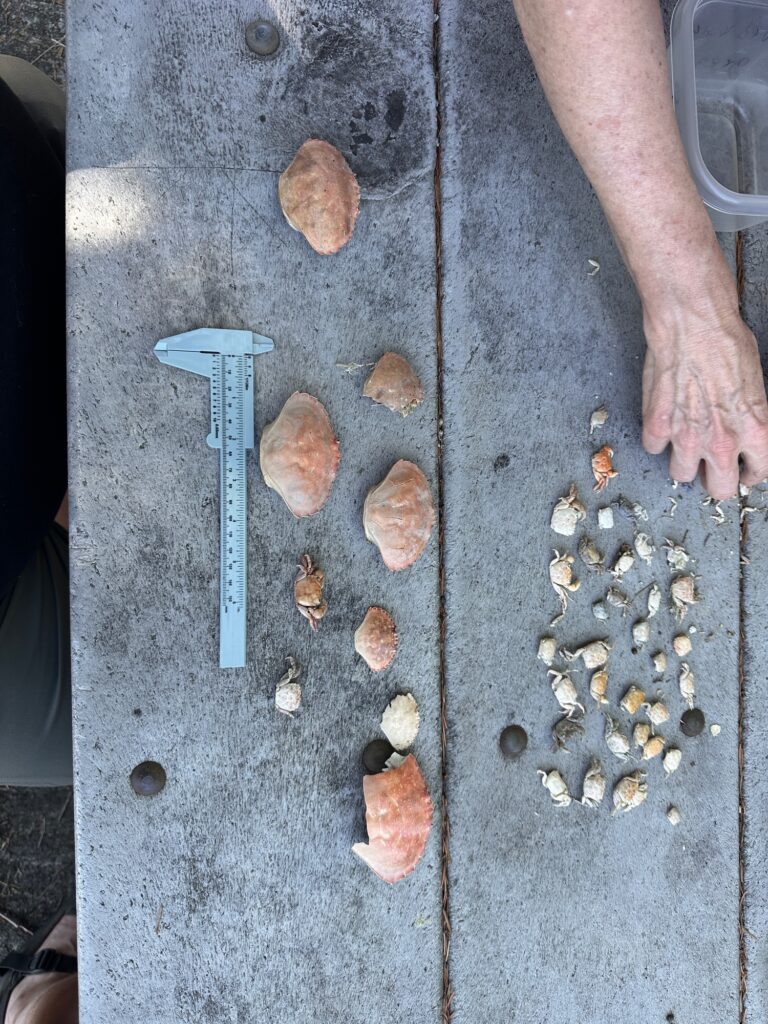 a person holding a tool (MyCoast AI)