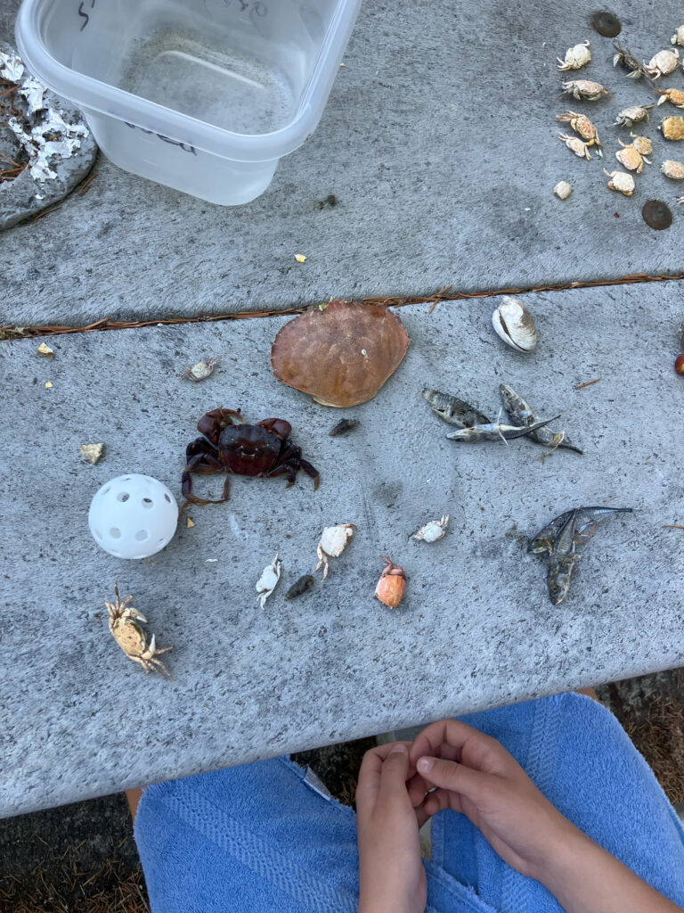 a person's feet on a concrete surface with objects on it (MyCoast AI)