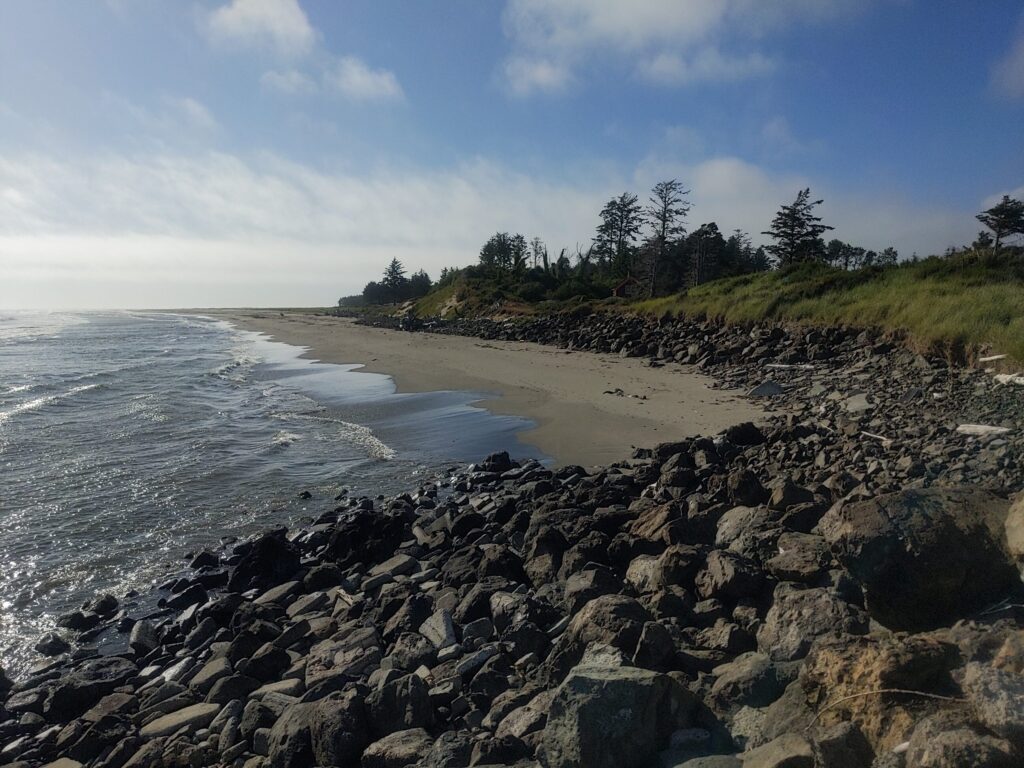 a rocky beach with trees and water (MyCoast AI)
