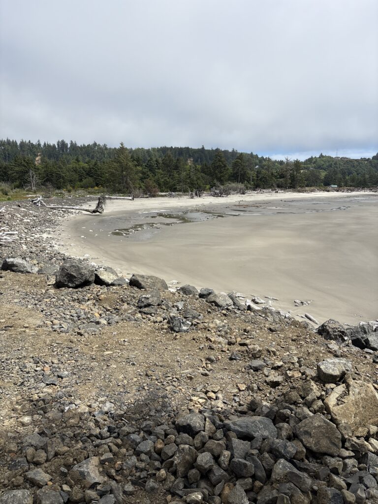 a rocky beach with trees in the background (MyCoast AI)