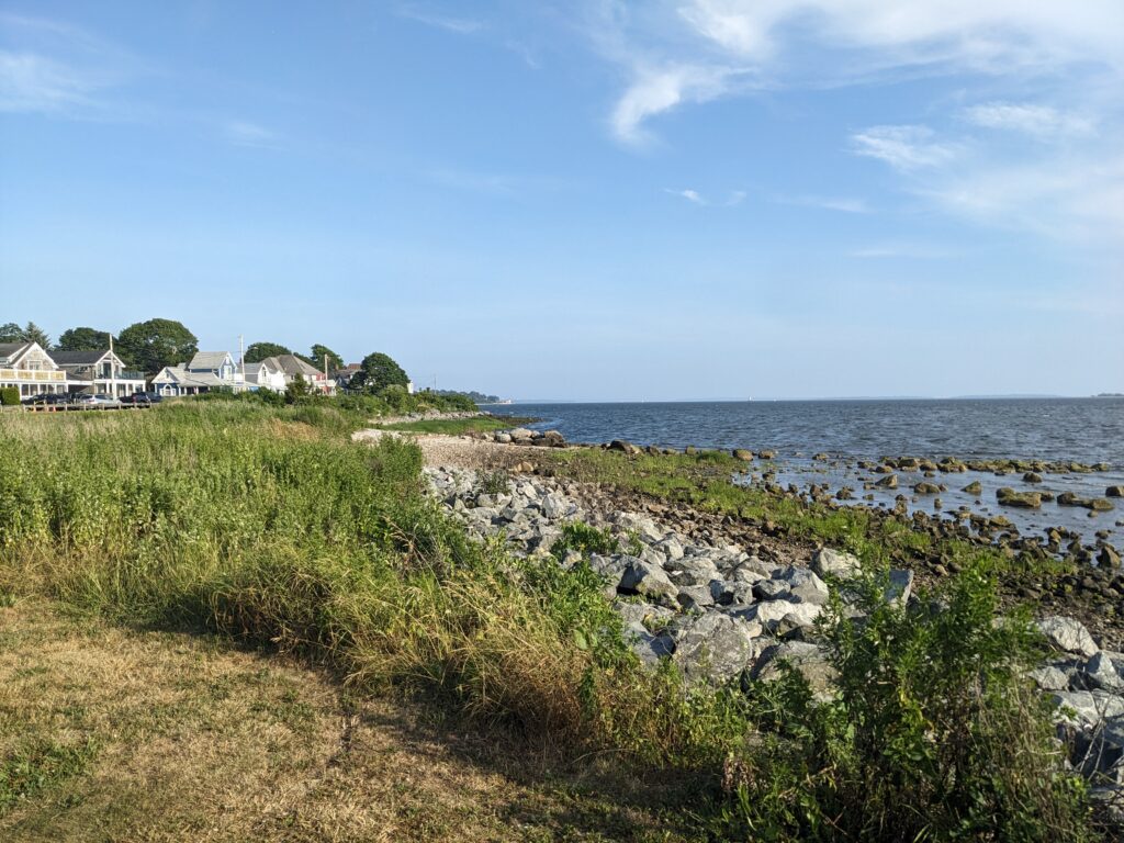 a rocky beach with houses and trees (MyCoast AI)