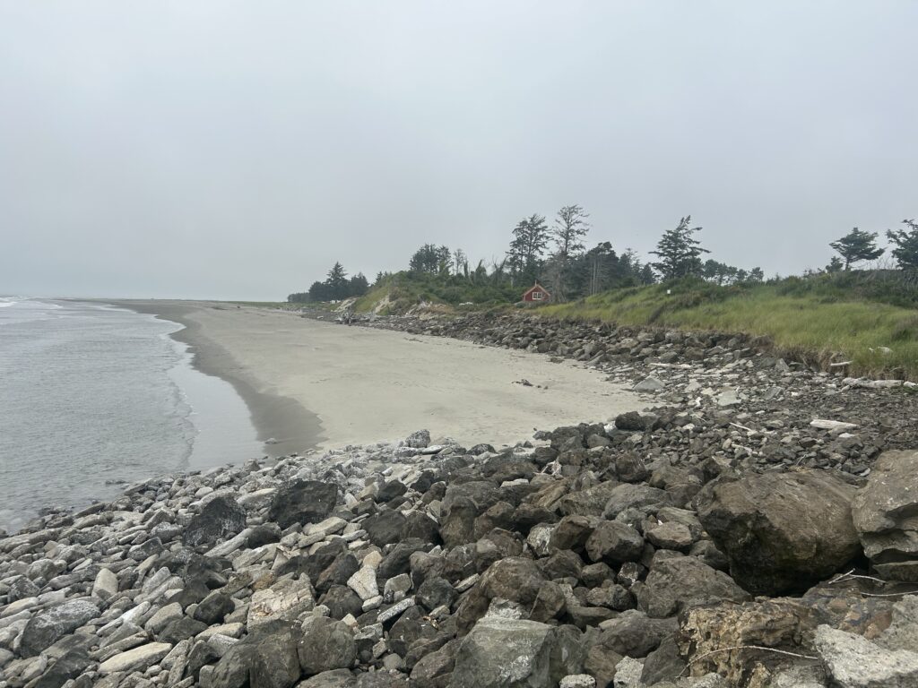 a rocky beach with a body of water and trees in the background (MyCoast AI)