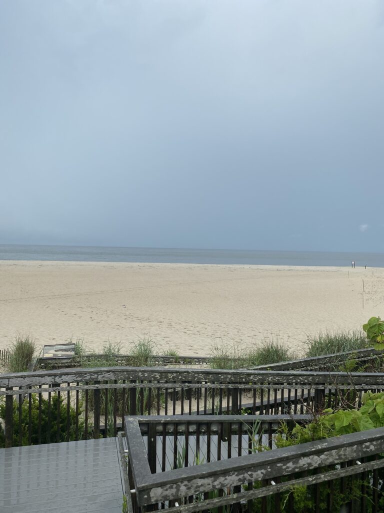 a beach with a fence (MyCoast AI)