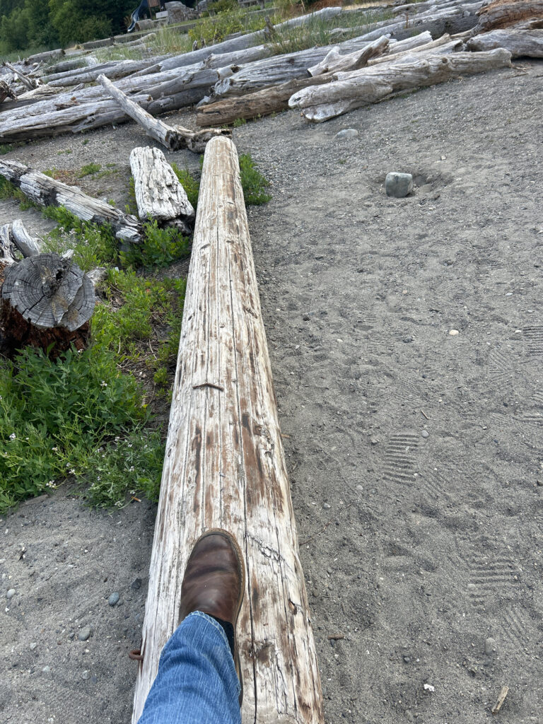 a person's foot on a log (MyCoast AI)
