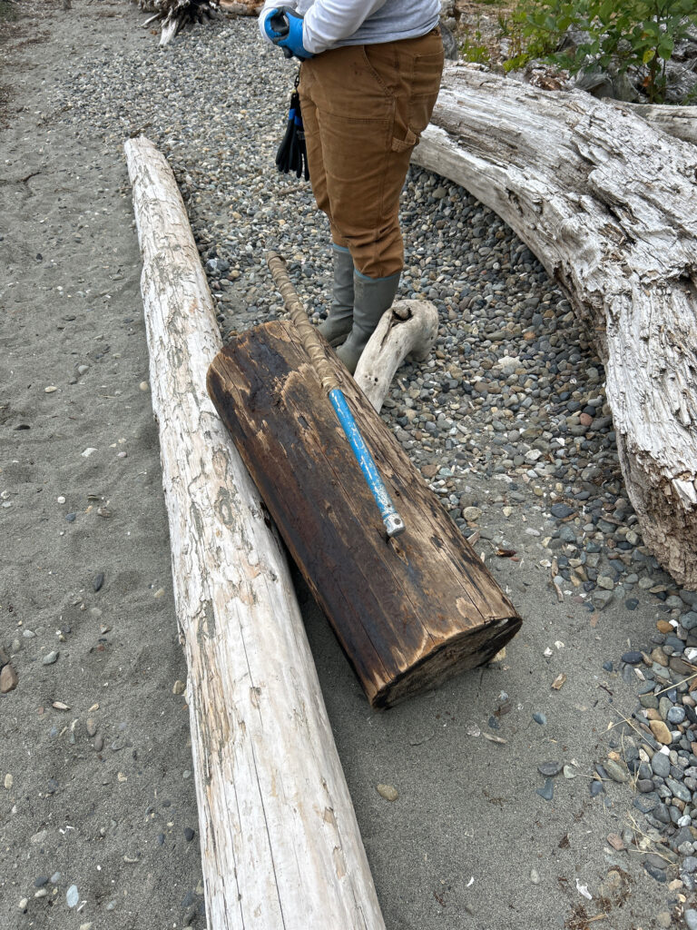 a person standing on a log (MyCoast AI)