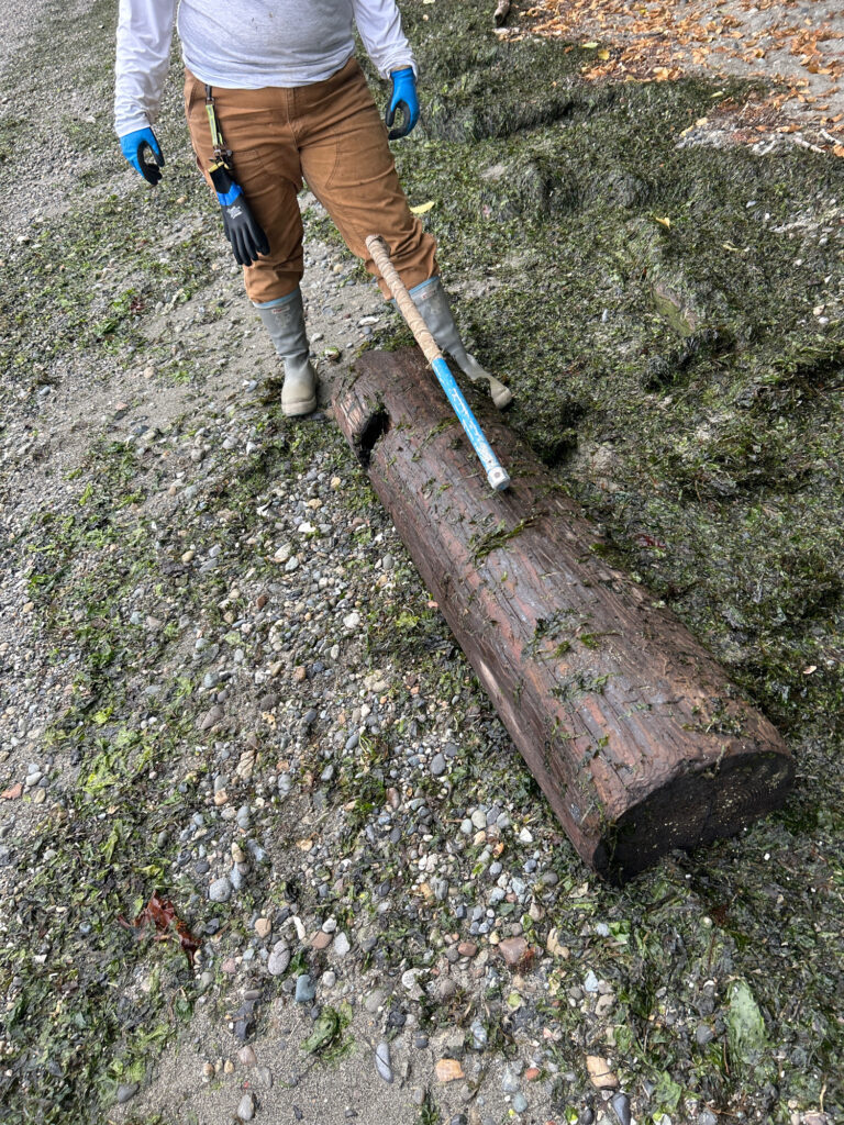 a person with a shovel and a log on a rocky ground (MyCoast AI)