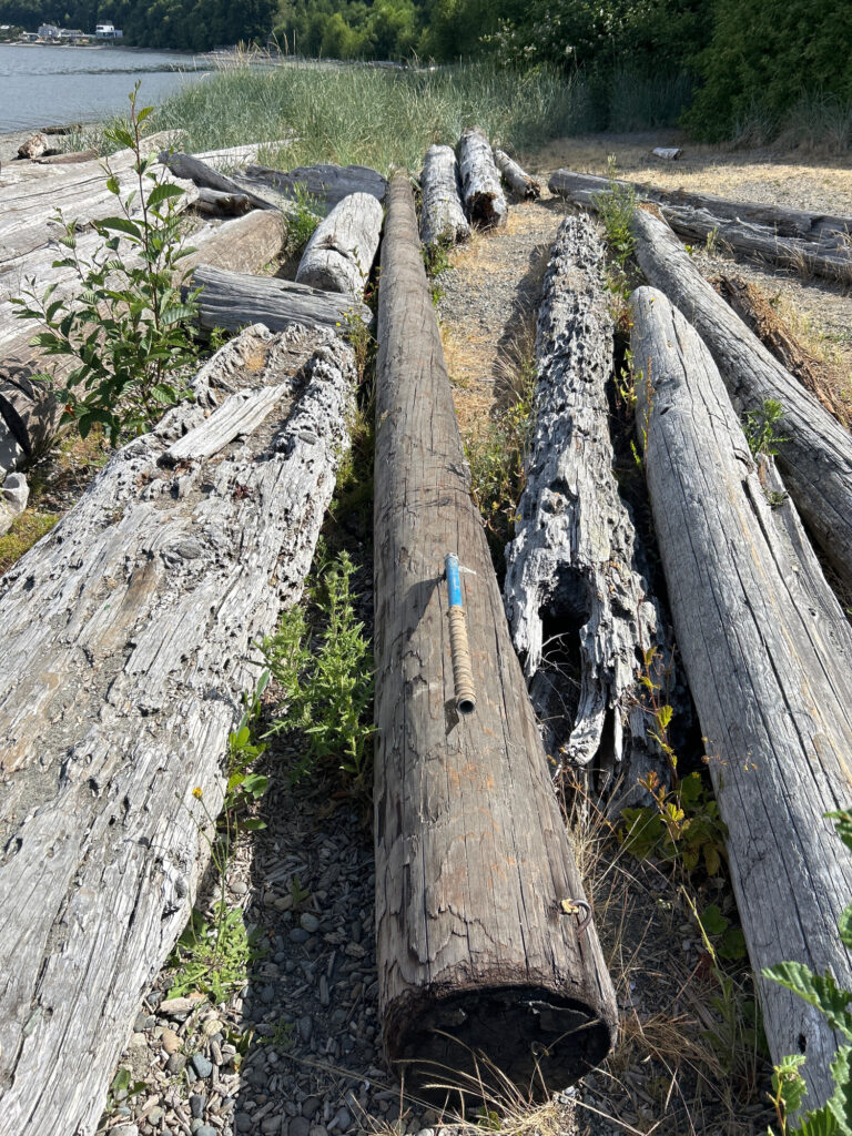 a group of logs in a field (MyCoast AI)