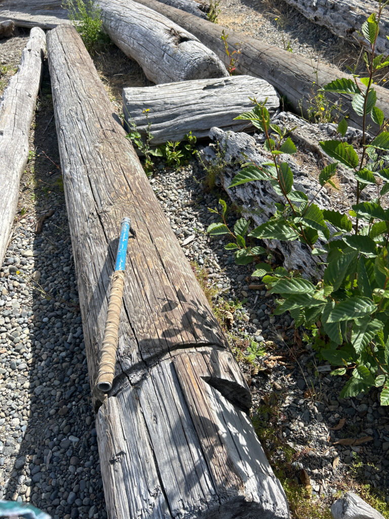 a wooden bridge over a river (MyCoast AI)