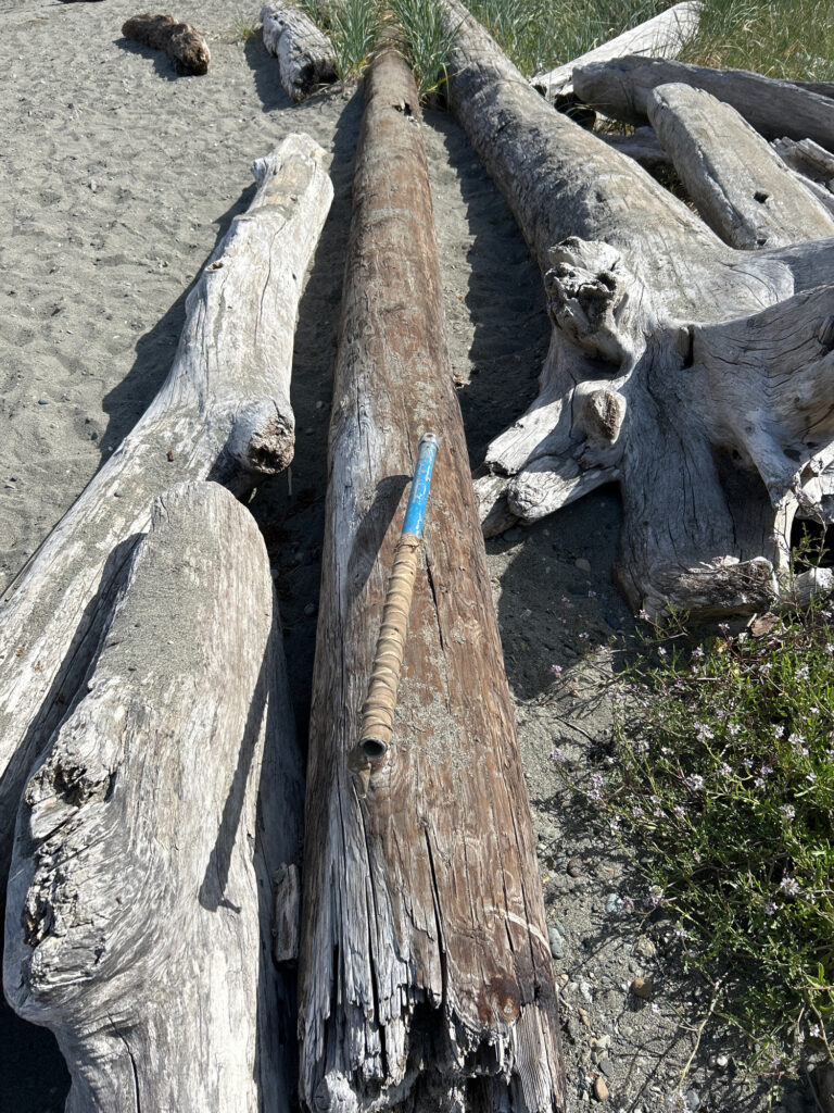 a group of logs (MyCoast AI)