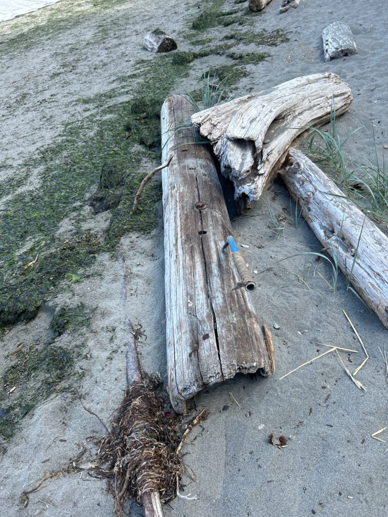 a tree stump on the ground (MyCoast AI)