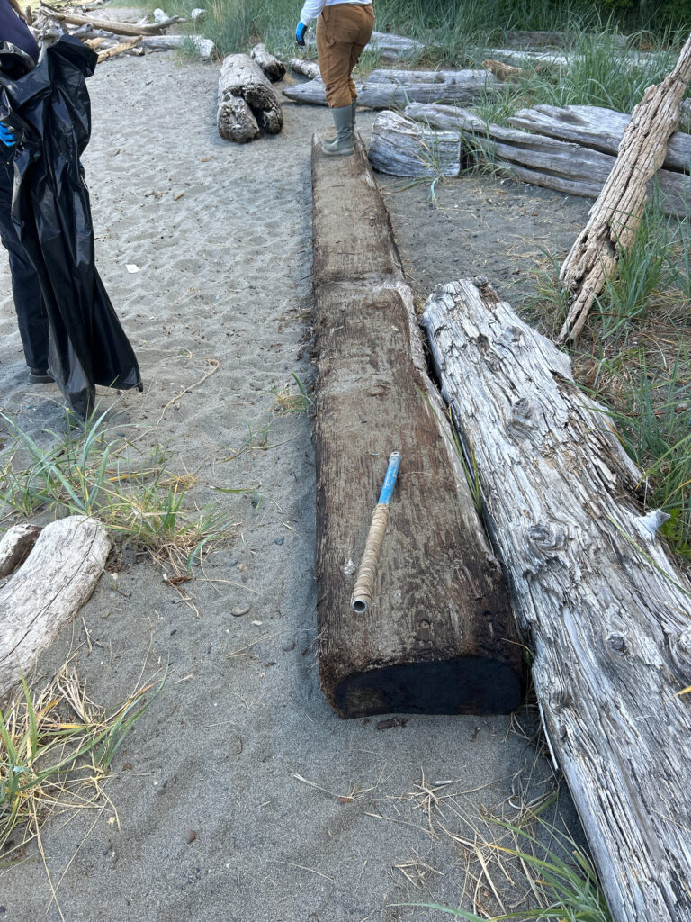 a person standing next to a log (MyCoast AI)