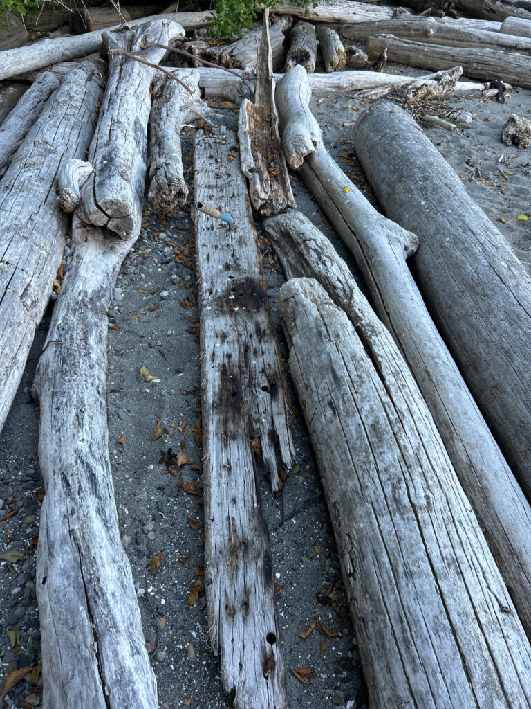 a group of wood planks (MyCoast AI)
