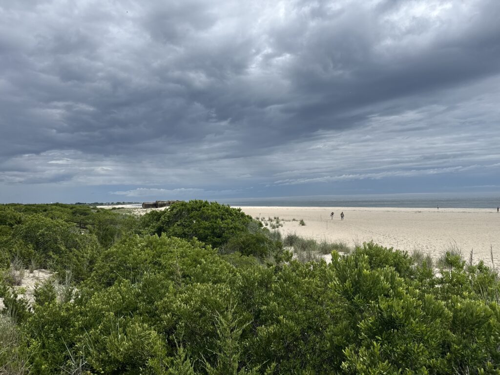 a group of people walking on a beach (MyCoast AI)