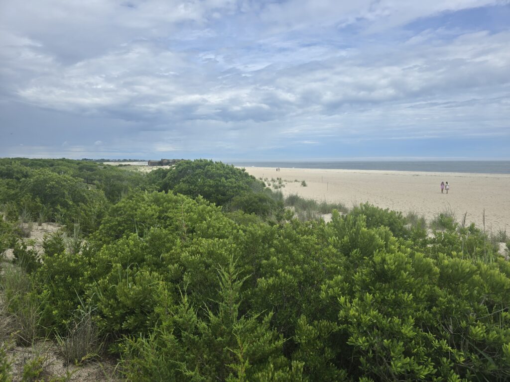 a large area of land with trees (MyCoast AI)