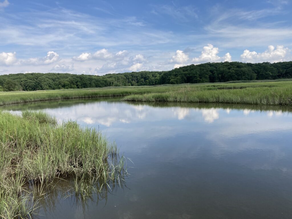 a body of water with grass and trees around it (MyCoast AI)