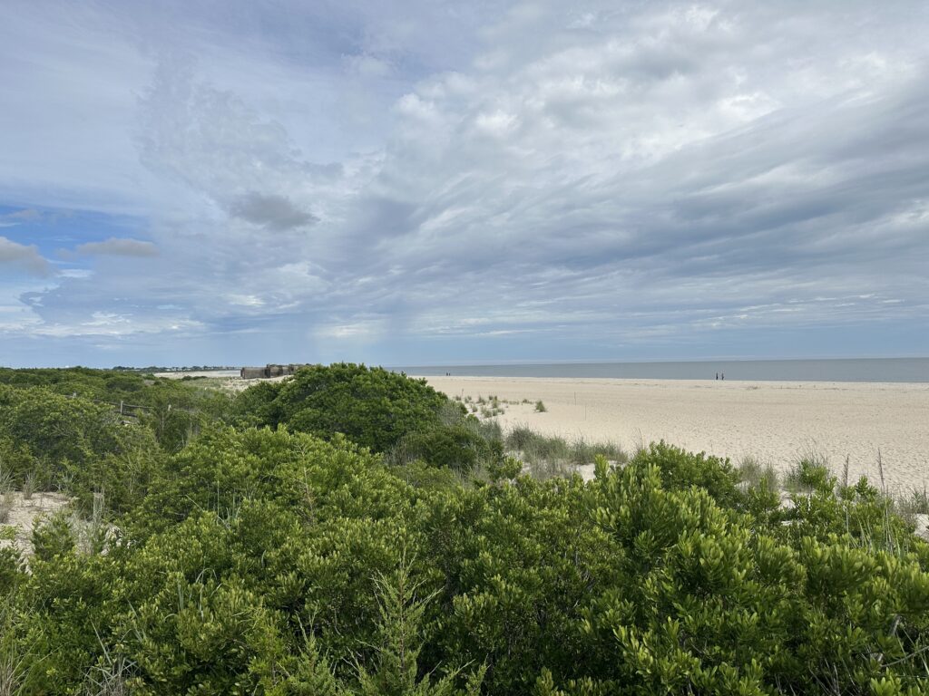 a beach with trees and bushes (MyCoast AI)