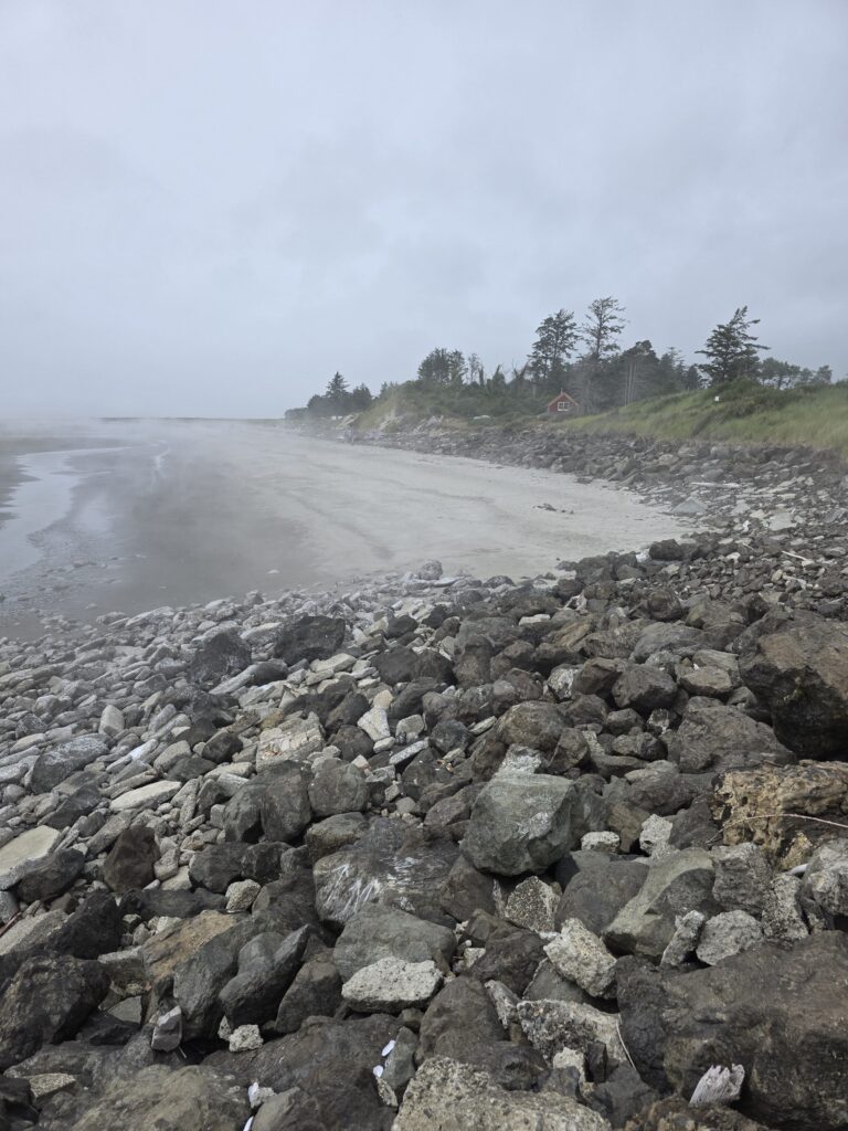a rocky beach with trees in the background (MyCoast AI)