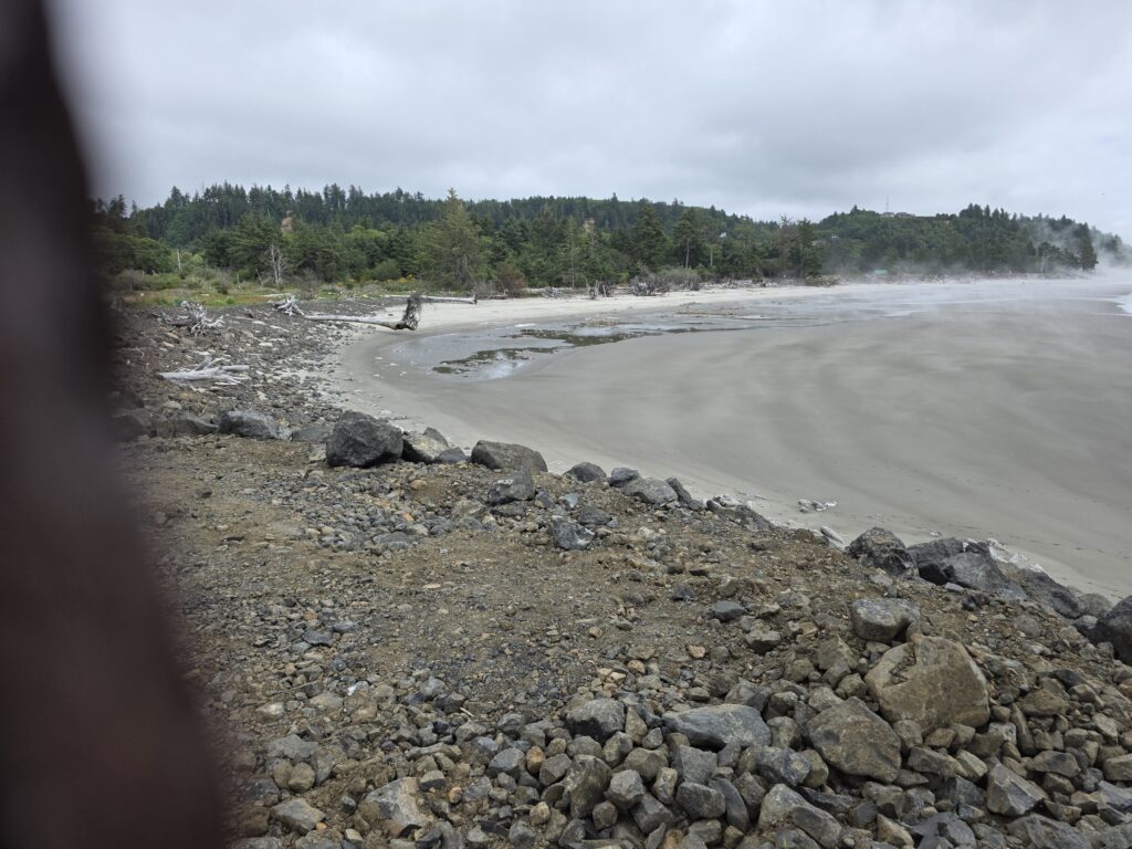 a rocky beach with trees in the background (MyCoast AI)