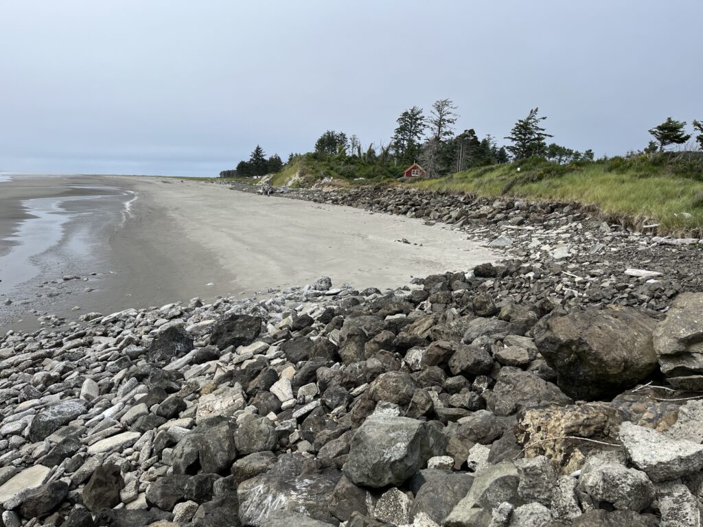 a rocky beach with a hill and trees in the background (MyCoast AI)