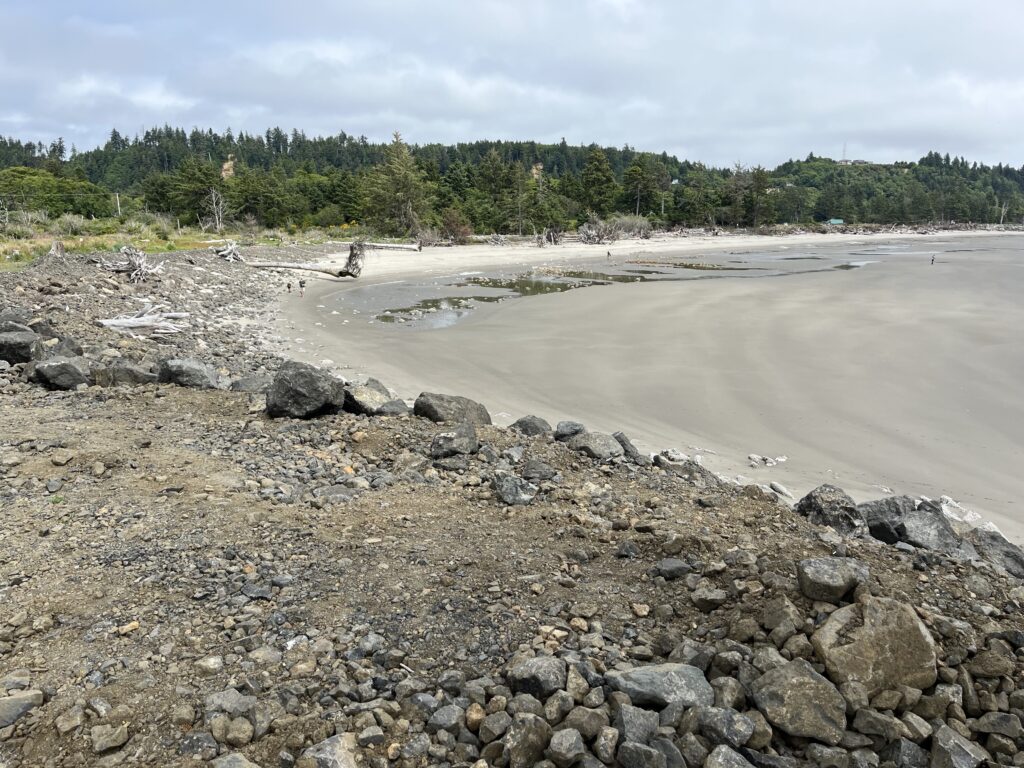 a rocky beach with trees in the background (MyCoast AI)