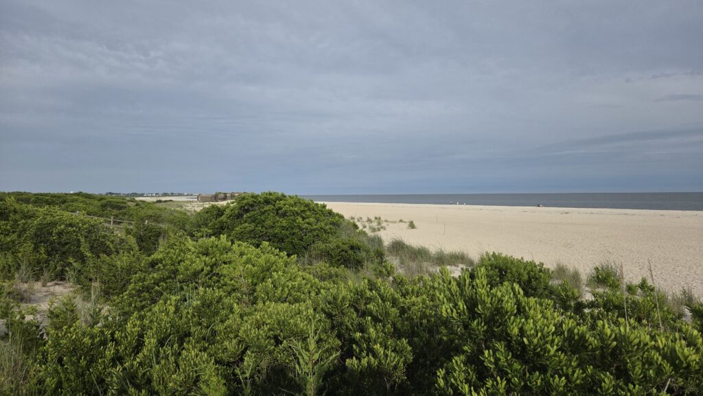 a landscape with trees and a body of water in the background (MyCoast AI)
