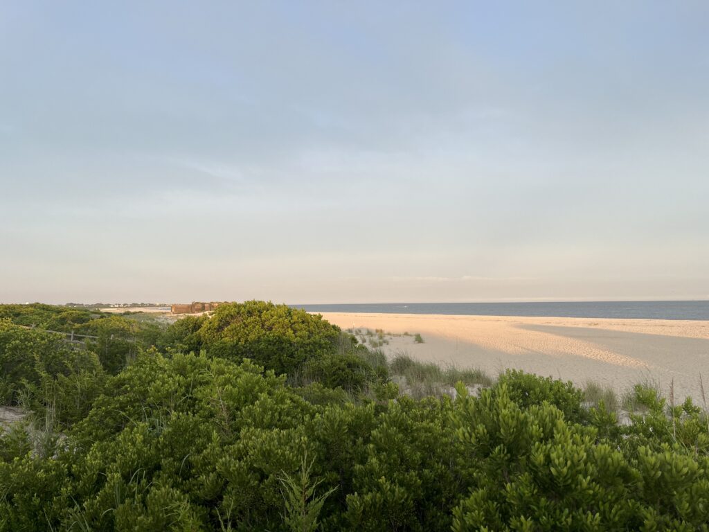 a beach with trees and water (MyCoast AI)