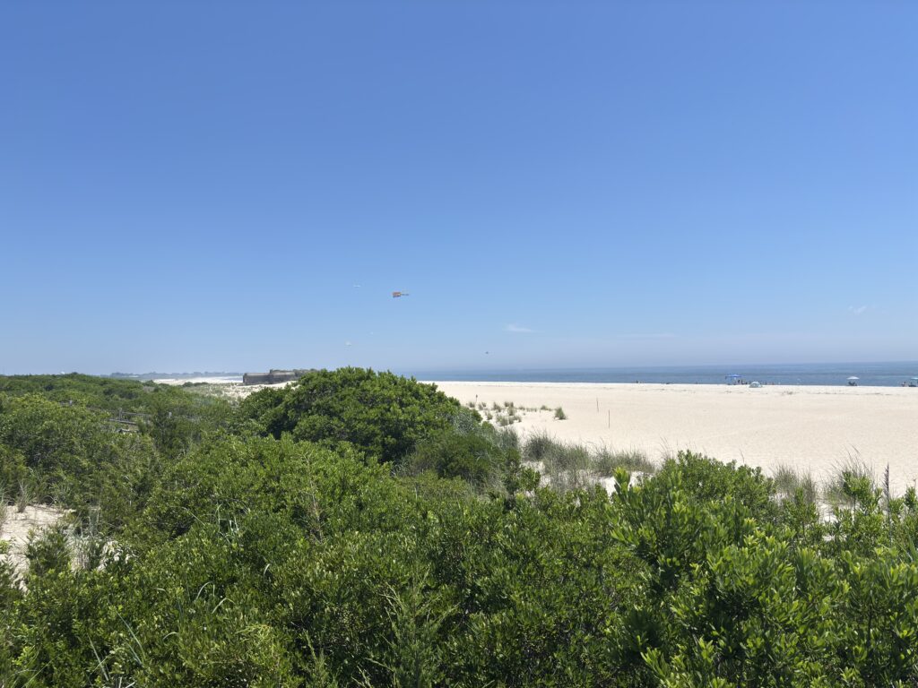 a beach with trees and bushes (MyCoast AI)