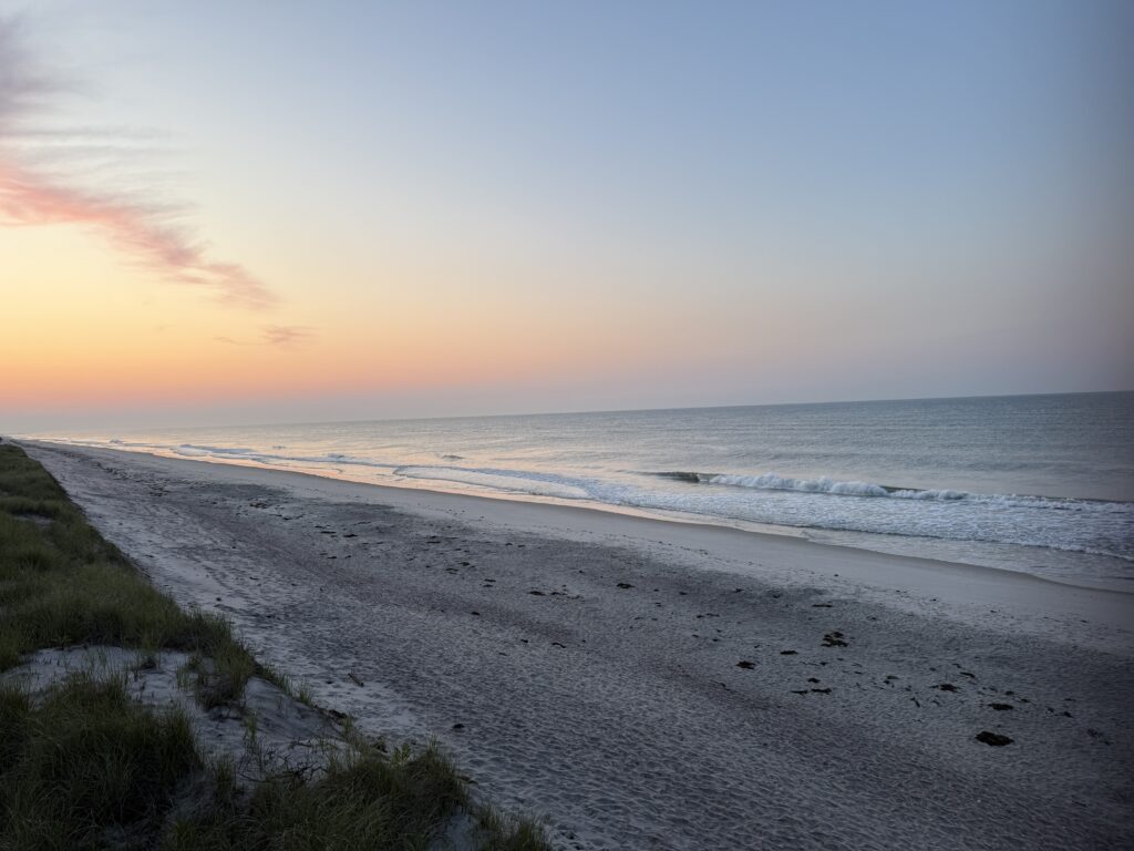 a beach with waves and grass (MyCoast AI)
