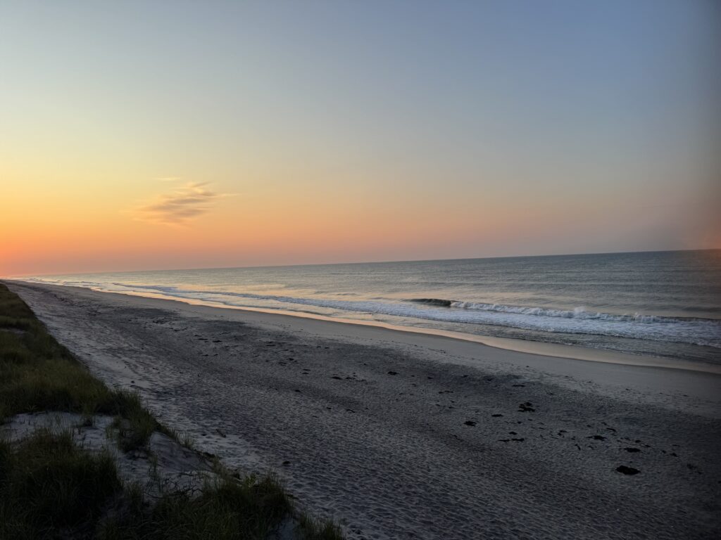 a beach with waves and grass (MyCoast AI)