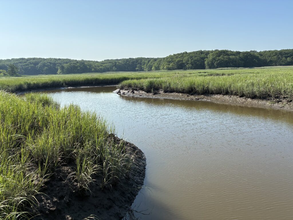 a river with grass and trees (MyCoast AI)