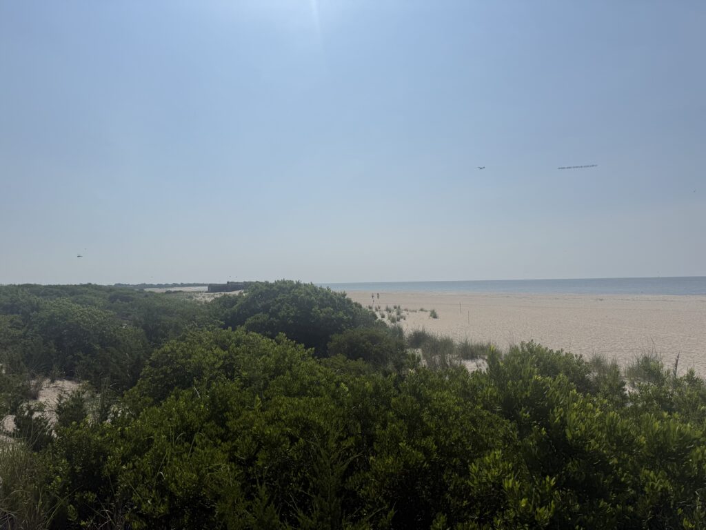 a beach with trees and a body of water in the background (MyCoast AI)