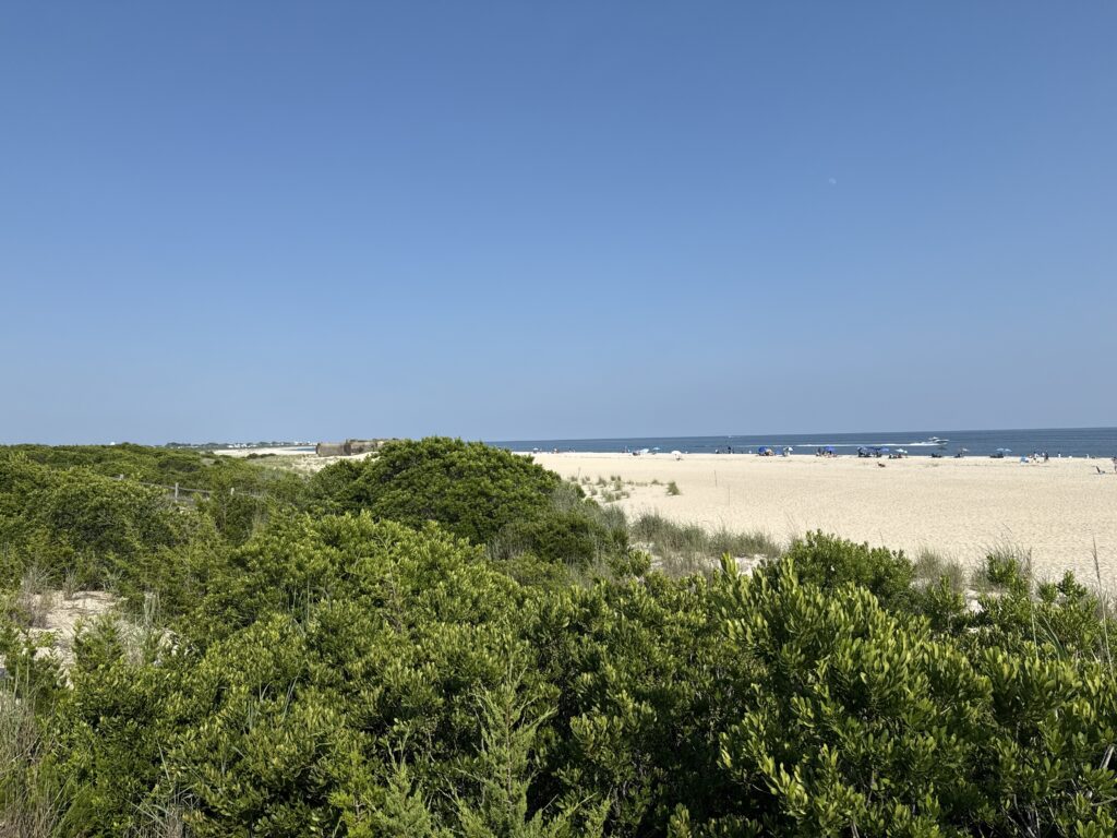 a sandy beach with bushes and trees (MyCoast AI)