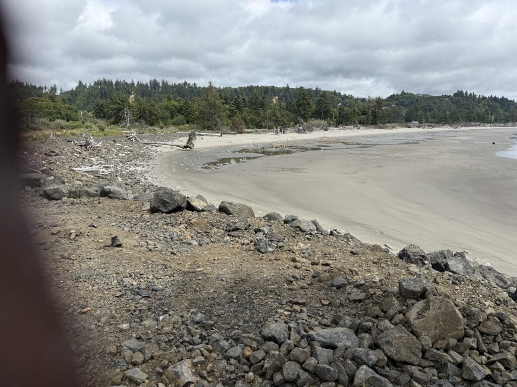 a rocky beach with trees in the background (MyCoast AI)