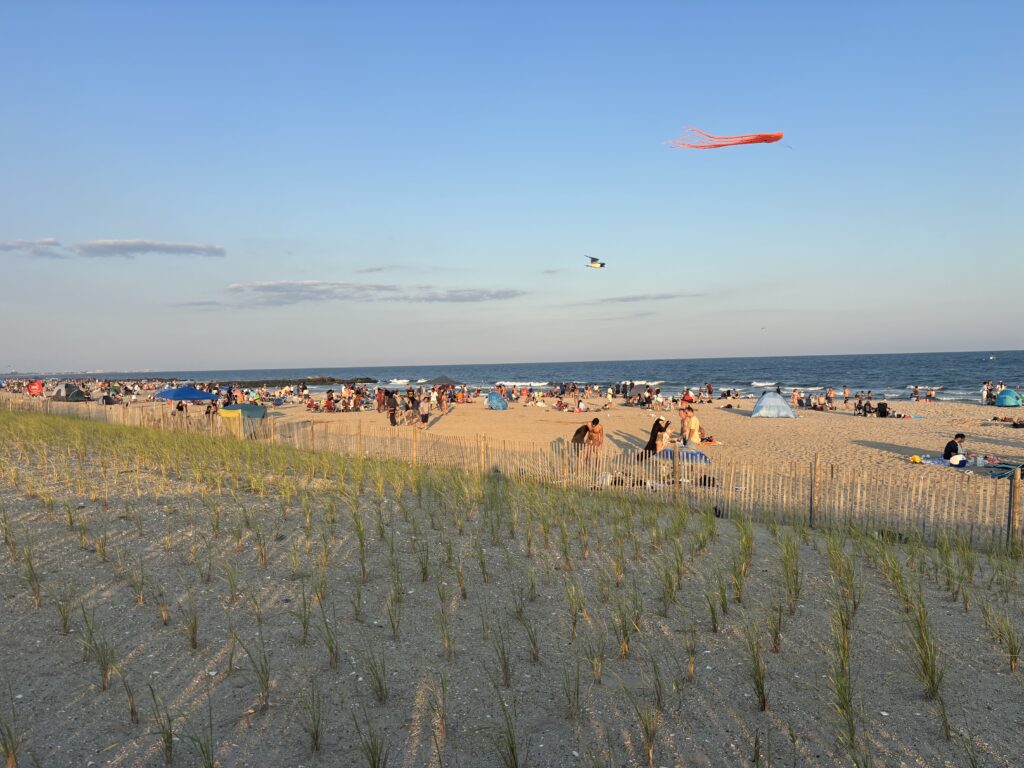 a group of people at the beach flying kites (MyCoast AI)