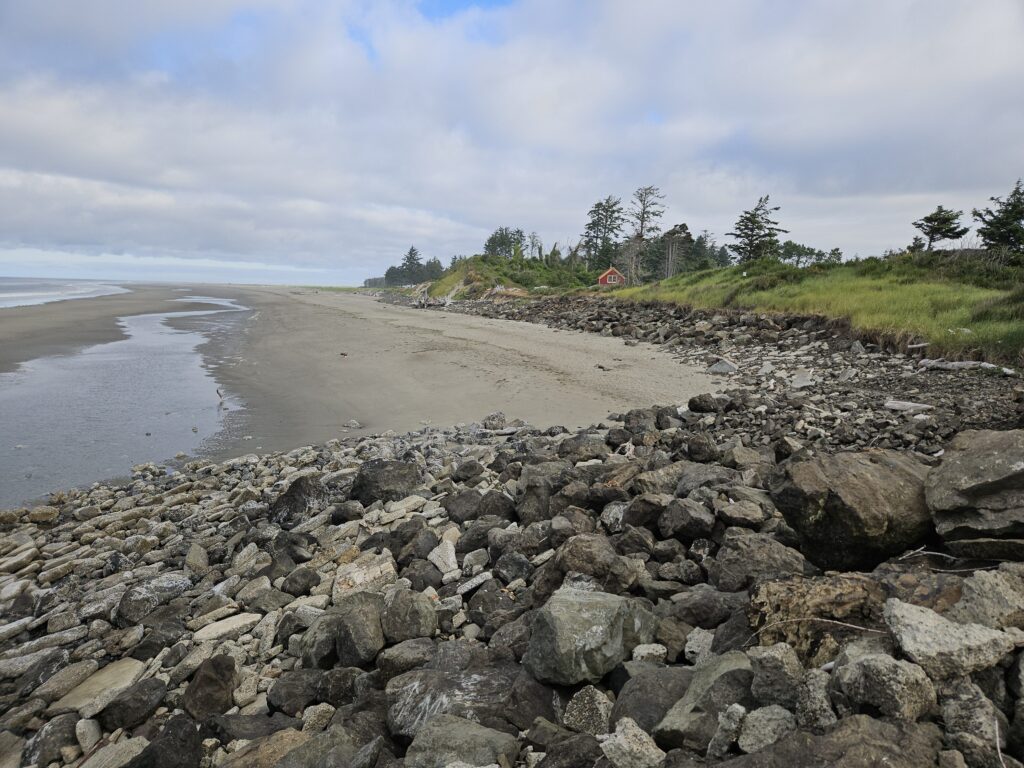 a rocky beach with trees and a hill in the background (MyCoast AI)